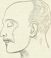 An illustration from Notes on the United States of North America, during a phrenological visit in 1838-9-40 (1841)