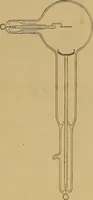 Picture 52 of 168 from Notes on X-light (1903), leaf 558