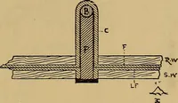 Picture 141 of 168 from Notes on X-light (1903), leaf 708