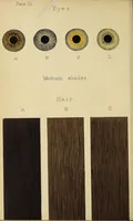An illustration from Notes and queries on anthropology (1899)
