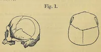 An illustration from Notes and queries on anthropology, for the use of travellers and residents in uncivilized lands (1874)