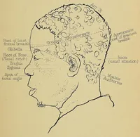 An illustration from Notes and queries on anthropology, for the use of travellers and residents in uncivilized lands (1874)
