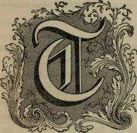 An illustration from Notes and records of the ancient religious foundations, at Youghal Co. Cork, and its vicinity (1854)