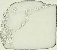 An illustration from Notice sur quelques monuments assyriens à l'Université de Zurich (1912)