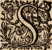 An illustration from Noticias de Portugal, offerecidas a el rey N.S. Dom Ioao o IV (1655)