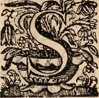 An illustration from Noticias de Portugal, offerecidas a el rey N.S. Dom Ioao o IV (1655)