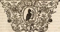 An illustration from Noticias de Portugal, offerecidas a el rey N.S. Dom Ioao o IV (1655)