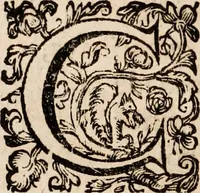 An illustration from Noticias de Portugal, offerecidas a el rey N.S. Dom Ioao o IV (1655)