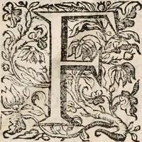 An illustration from Noticias de Portugal, offerecidas a el rey N.S. Dom Ioao o IV (1655)