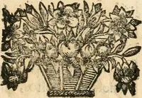 Picture 11 of 46 from Noticias historiales de la enfermedad, muerte, y exsequias de la esclarecida reyna de las Españas doña Maria Luisa de Orleans, Borbon Stuart y Austria, nuestra señora, dignissima consorte del rey nuestro señor Don Carlos segundo de Austria (1690), leaf 178