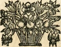 An illustration from Noticias historiales de la enfermedad, muerte, y exsequias de la esclarecida reyna de las Españas doña Maria Luisa de Orleans, Borbon Stuart y Austria, nuestra señora, dignissima consorte del rey nuestro señor Don Carlos segundo de Austria (1690)