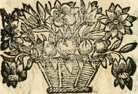 An illustration from Noticias historiales de la enfermedad, muerte, y exsequias de la esclarecida reyna de las Españas doña Maria Luisa de Orleans, Borbon Stuart y Austria, nuestra señora, dignissima consorte del rey nuestro señor Don Carlos segundo de Austria (1690)