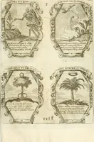 Picture 24 of 46 from Noticias historiales de la enfermedad, muerte, y exsequias de la esclarecida reyna de las Españas doña Maria Luisa de Orleans, Borbon Stuart y Austria, nuestra señora, dignissima consorte del rey nuestro señor Don Carlos segundo de Austria (1690), leaf 198