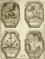 Picture 25 of 46 from Noticias historiales de la enfermedad, muerte, y exsequias de la esclarecida reyna de las Españas doña Maria Luisa de Orleans, Borbon Stuart y Austria, nuestra señora, dignissima consorte del rey nuestro señor Don Carlos segundo de Austria (1690), leaf 200