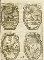 Picture 26 of 46 from Noticias historiales de la enfermedad, muerte, y exsequias de la esclarecida reyna de las Españas doña Maria Luisa de Orleans, Borbon Stuart y Austria, nuestra señora, dignissima consorte del rey nuestro señor Don Carlos segundo de Austria (1690), leaf 202