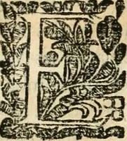 An illustration from Noticias historiales de la enfermedad, muerte, y exsequias de la esclarecida reyna de las Españas doña Maria Luisa de Orleans, Borbon Stuart y Austria, nuestra señora, dignissima consorte del rey nuestro señor Don Carlos segundo de Austria (1690)