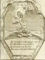 An illustration from Noticias historiales de la enfermedad, muerte, y exsequias de la esclarecida reyna de las Españas doña Maria Luisa de Orleans, Borbon Stuart y Austria, nuestra señora, dignissima consorte del rey nuestro señor Don Carlos segundo de Austria (1690)