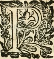 An illustration from Noticias historiales de la enfermedad, muerte, y exsequias de la esclarecida reyna de las Españas doña Maria Luisa de Orleans, Borbon Stuart y Austria, nuestra señora, dignissima consorte del rey nuestro señor Don Carlos segundo de Austria (1690)