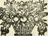 An illustration from Noticias historiales de la enfermedad, muerte, y exsequias de la esclarecida reyna de las Españas doña Maria Luisa de Orleans, Borbon Stuart y Austria, nuestra señora, dignissima consorte del rey nuestro señor Don Carlos segundo de Austria (1690)