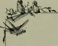 An illustration from Noticias historicas (1889)