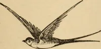 An illustration from Noticias historicas (1889)