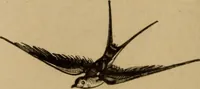 An illustration from Noticias historicas (1889)