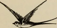 An illustration from Noticias historicas (1889)