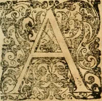 An illustration from Noticias summarias das perseguições da missam de Cochinchina, principiada, & continuada pelos padres da Companhia de Jesu .. (1700)