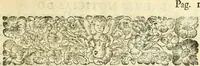 An illustration from Noticias summarias das perseguições da missam de Cochinchina, principiada, & continuada pelos padres da Companhia de Jesu .. (1700)
