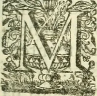 An illustration from Noticias summarias das perseguições da missam de Cochinchina, principiada, & continuada pelos padres da Companhia de Jesu .. (1700)