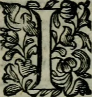 An illustration from Notitia conciliorvm sanctae ecclesiae : in qua elucidantur exactissimè tùm sacri Canones, tùm veteres, nouique Ecclesiae Ritus, tùm praecipuae partes Ecclesiasticae Historiae (1669)