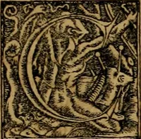 Picture 218 of 239 from Notitia vtraqve cvm orientis tvm occidentis vltra Arcadii Honoriiqve Cæsarvm tempora, illustre uetustatis monumentum, imò thesaurus prorsum incomparabilis : Præcedit aute D. Andreæ Alciati libellus, De magistratib. ciuilibusq; ac militaribus officijs, partim ex hac ipsa Notitia, partim aliunde desumptus : cvi succedit Descriptio urbis Romæ, quæ sub titulo Pub. Victoris circumfertur : & altera urbis Constantinopolitanæ incerto autore, nunquã antehac typis excusa, imperialium uidelicet ac primariaru sedium utriusq reipub : svbiungitur Notitiis uetustus liber De rebvs bellicis ad Theodosium Aug & filios eius Arcadium atq; Honorium, ut uidetur, scriptus incerto autore : item, ne quid de antiquo exemplari omitteretur, Disputatio Adriani Aug. & Epicteti philosophi (1552), leaf 196