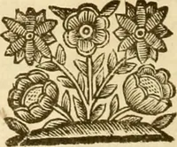 An illustration from Notitie historiche della citta d'Ancona : gia termine dell' antico regno d'Italia con diuersi auuenimenti nella Marca Anconitana, & in detto regno accaduti (1675)