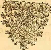 An illustration from Notitie historiche della citta d'Ancona : gia termine dell' antico regno d'Italia con diuersi auuenimenti nella Marca Anconitana, & in detto regno accaduti (1675)