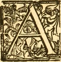 An illustration from Notitie historiche della citta d'Ancona : gia termine dell' antico regno d'Italia con diuersi auuenimenti nella Marca Anconitana, & in detto regno accaduti (1675)