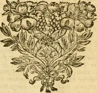 An illustration from Notitie historiche della citta d'Ancona : gia termine dell' antico regno d'Italia con diuersi auuenimenti nella Marca Anconitana, & in detto regno accaduti (1675)