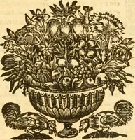 An illustration from Notitie historiche della citta d'Ancona : gia termine dell' antico regno d'Italia con diuersi auuenimenti nella Marca Anconitana, & in detto regno accaduti (1675)