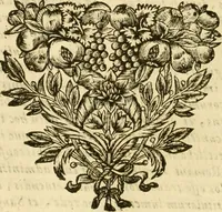 An illustration from Notitie historiche della citta d'Ancona : gia termine dell' antico regno d'Italia con diuersi auuenimenti nella Marca Anconitana, & in detto regno accaduti (1675)