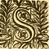 Picture 34 of 47 from Notitie historiche della citta d'Ancona : gia termine dell' antico regno d'Italia con diuersi auuenimenti nella Marca Anconitana, & in detto regno accaduti (1675), leaf 256