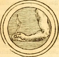 Picture 10 of 47 from Notitie historiche della citta d'Ancona : gia termine dell' antico regno d'Italia con diuersi auuenimenti nella Marca Anconitana, & in detto regno accaduti (1675), leaf 30