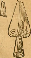 Picture 35 of 47 from Notitie historiche della citta d'Ancona : gia termine dell' antico regno d'Italia con diuersi auuenimenti nella Marca Anconitana, & in detto regno accaduti (1675), leaf 309