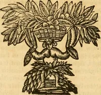 An illustration from Notitie historiche della citta d'Ancona : gia termine dell' antico regno d'Italia con diuersi auuenimenti nella Marca Anconitana, & in detto regno accaduti (1675)