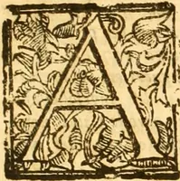 An illustration from Notitie historiche della citta d'Ancona : gia termine dell' antico regno d'Italia con diuersi auuenimenti nella Marca Anconitana, & in detto regno accaduti (1675)