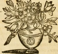 An illustration from Notitie historiche della citta d'Ancona : gia termine dell' antico regno d'Italia con diuersi auuenimenti nella Marca Anconitana, & in detto regno accaduti (1675)