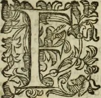Picture 17 of 78 from Notizie de' professori del disegno da Cimabve in qva, per le quali si dimostra come, e per chi le bell'arti di pittura, scultura, e architettura lasciata la rozzezza delle maniere greca, e gottica, si siano in questi secoli ridotte all' antica loro perfezione (1681), leaf 130