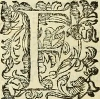 An illustration from Notizie de' professori del disegno da Cimabve in qva, per le quali si dimostra come, e per chi le bell'arti di pittura, scultura, e architettura lasciata la rozzezza delle maniere greca, e gottica, si siano in questi secoli ridotte all' antica loro perfezione (1681)
