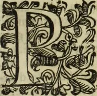 An illustration from Notizie de' professori del disegno da Cimabve in qva, per le quali si dimostra come, e per chi le bell'arti di pittura, scultura, e architettura lasciata la rozzezza delle maniere greca, e gottica, si siano in questi secoli ridotte all' antica loro perfezione (1681)