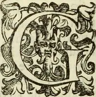 An illustration from Notizie de' professori del disegno da Cimabve in qva, per le quali si dimostra come, e per chi le bell'arti di pittura, scultura, e architettura lasciata la rozzezza delle maniere greca, e gottica, si siano in questi secoli ridotte all' antica loro perfezione (1681)