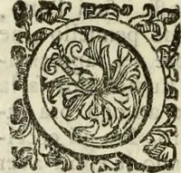 An illustration from Notizie de' professori del disegno da Cimabve in qva, per le quali si dimostra come, e per chi le bell'arti di pittura, scultura, e architettura lasciata la rozzezza delle maniere greca, e gottica, si siano in questi secoli ridotte all' antica loro perfezione (1681)