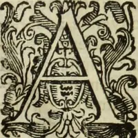 Picture 74 of 78 from Notizie de' professori del disegno da Cimabve in qva, per le quali si dimostra come, e per chi le bell'arti di pittura, scultura, e architettura lasciata la rozzezza delle maniere greca, e gottica, si siano in questi secoli ridotte all' antica loro perfezione (1681), leaf 410